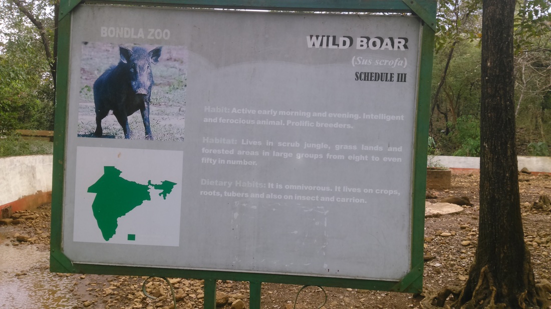 Wild Animals - Bondla Wildlife Sanctuary
